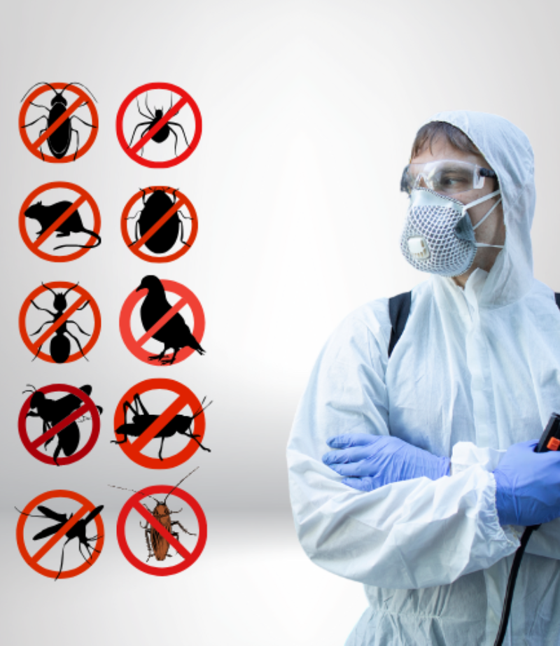 termite-control-services-coimbatore